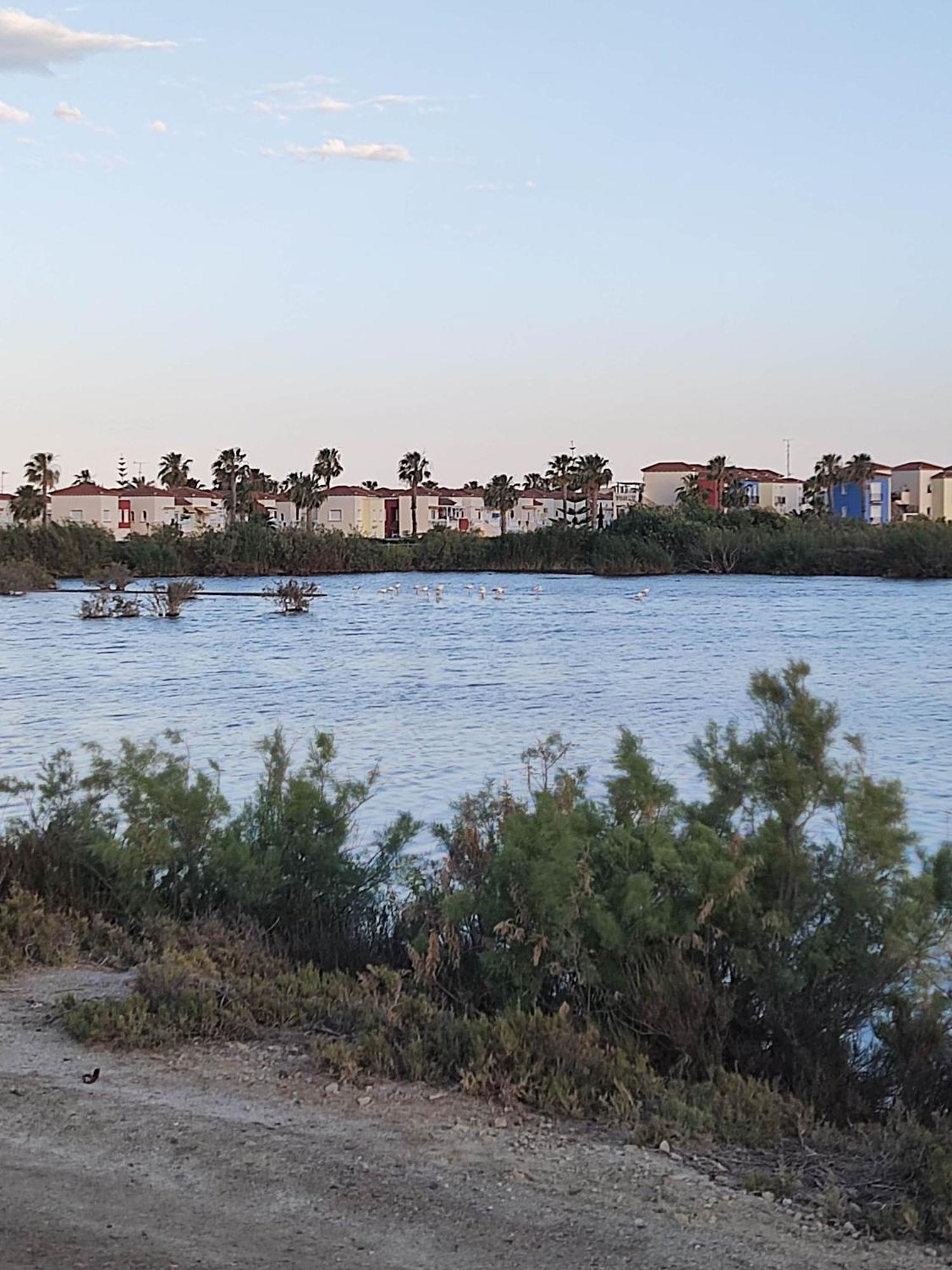 El Mirador De Torremari - Nudista - Vera Playa Luaran gambar